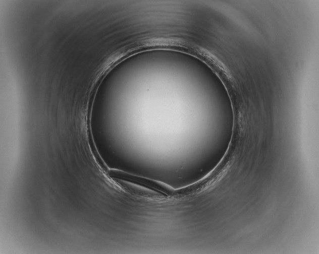 X0000116341033200912091105