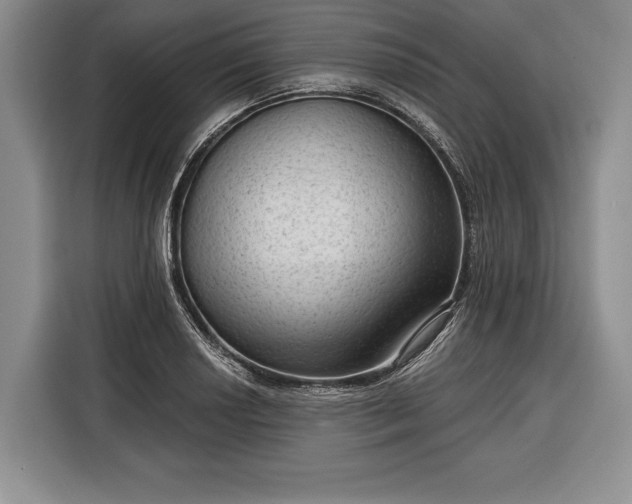 X0000116341034200912091105