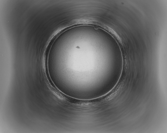 X0000116341035200912091105