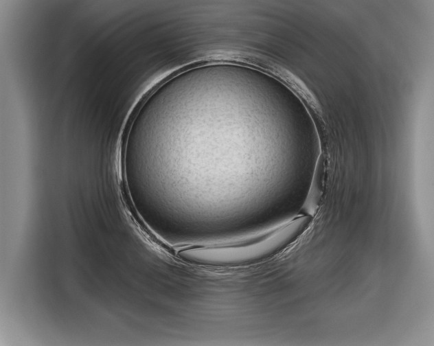 X0000116341036200912091105