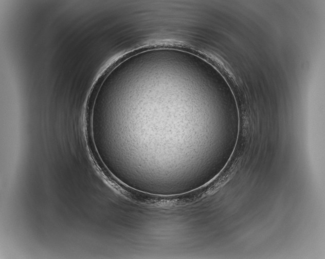 X0000116341038200912091105