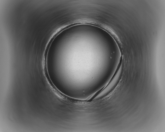 X0000116341040200912091105