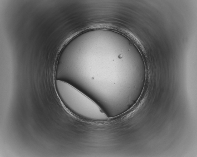 X0000116341041200912091105