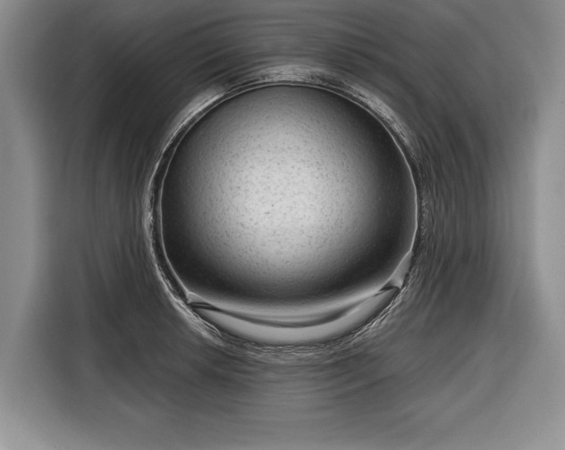 X0000116341042200912091106