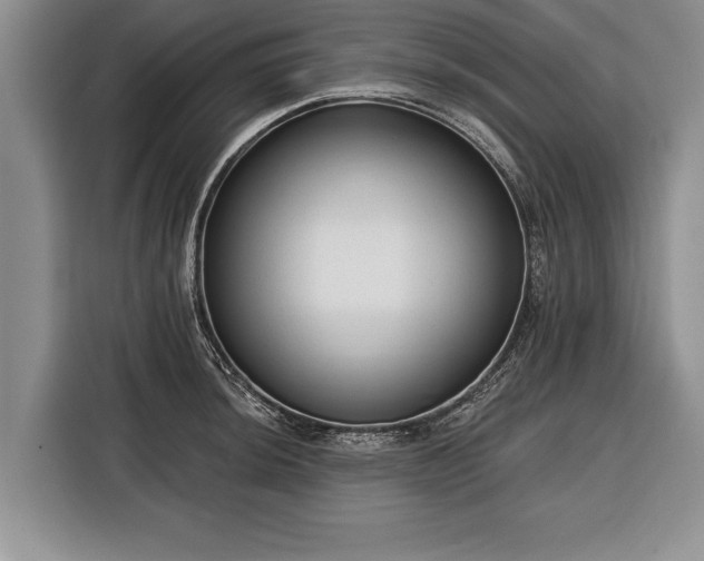 X0000116341044200912091106