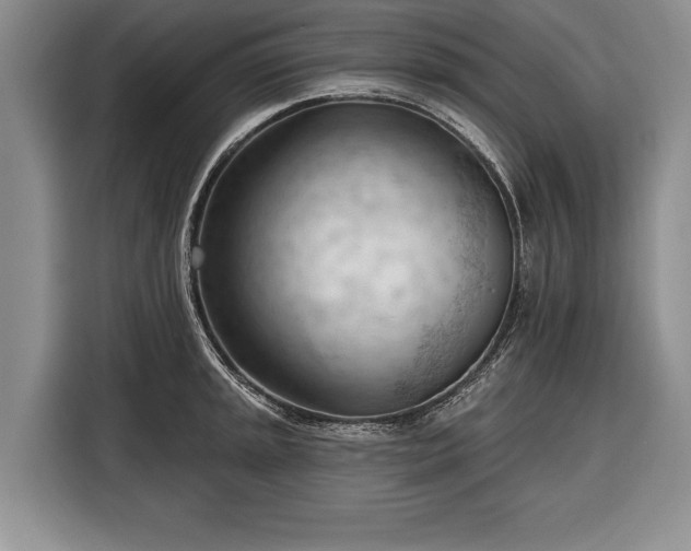 X0000116341045200912091106