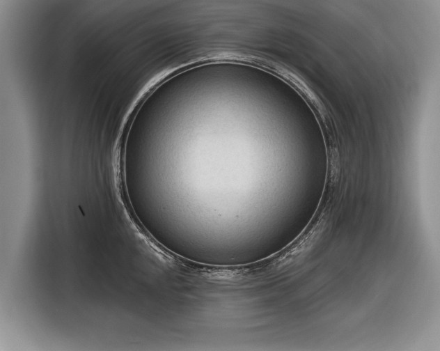 X0000116341048200912091106