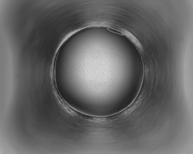 X0000116341052200912091106