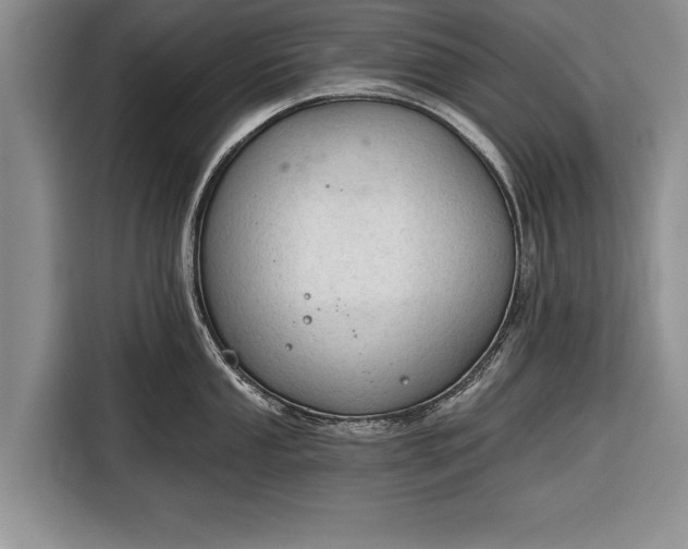 X0000116341053200912091106