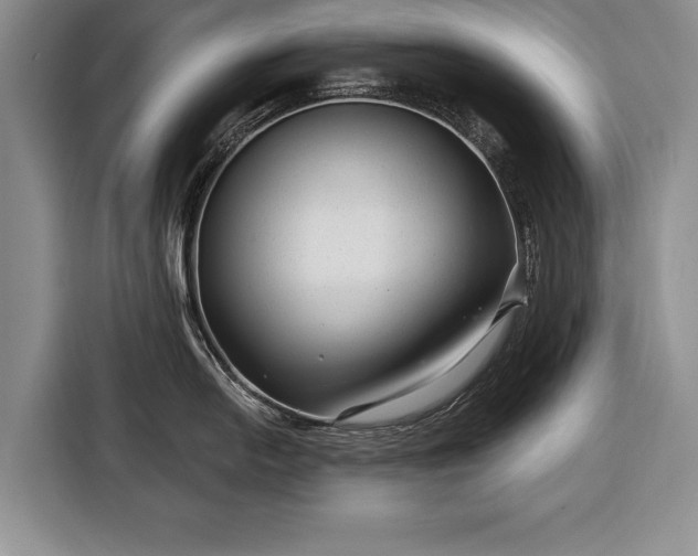 X0000116341054200912091106