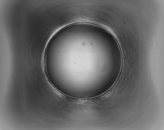 X0000116341056200912091106