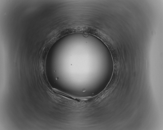 X0000116341058200912091105