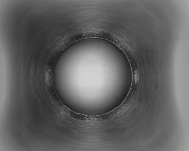 X0000116341059200912091105