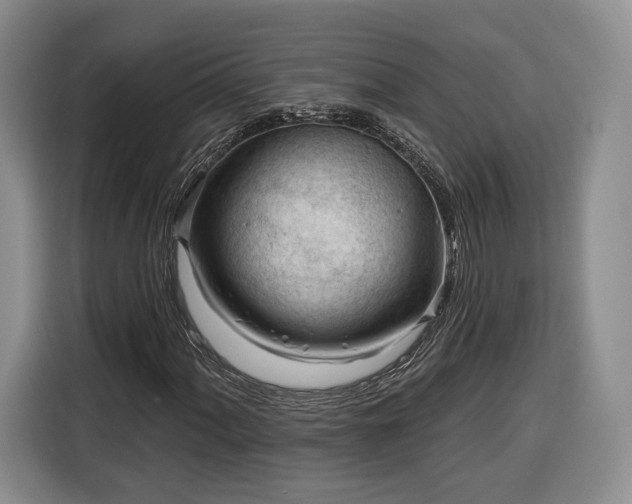 X0000116341060200912091105