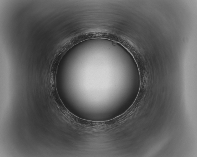 X0000116341062200912091105