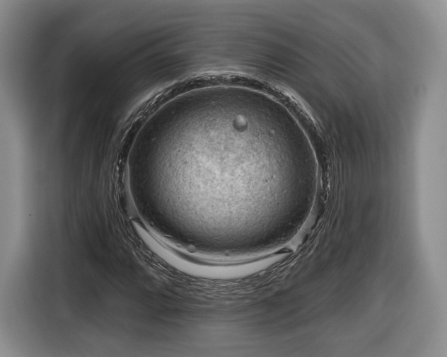 X0000116341064200912091105