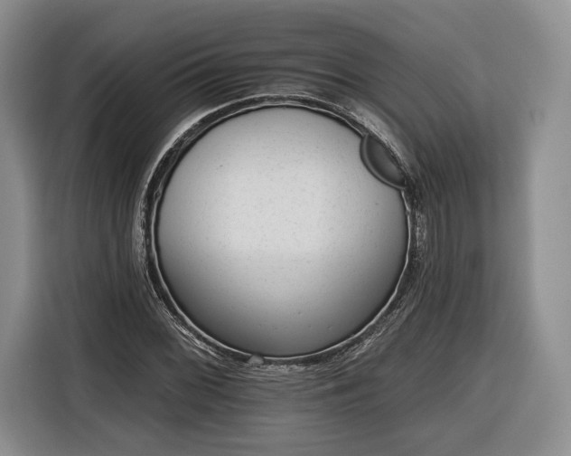 X0000116341068200912091105