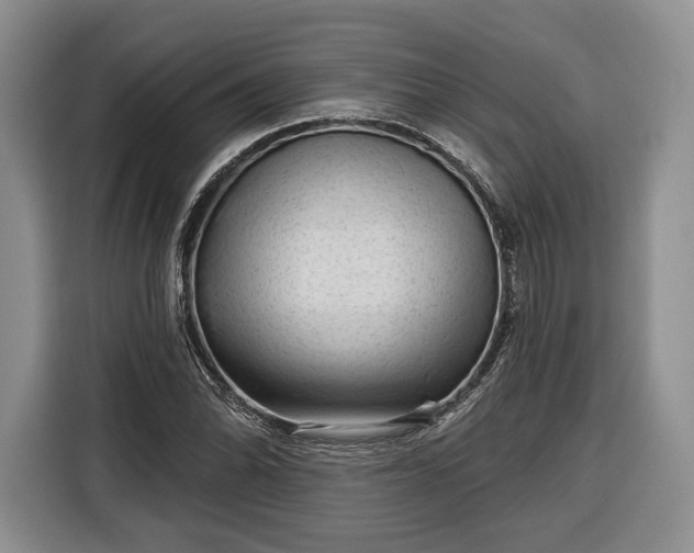 X0000116341070200912091105