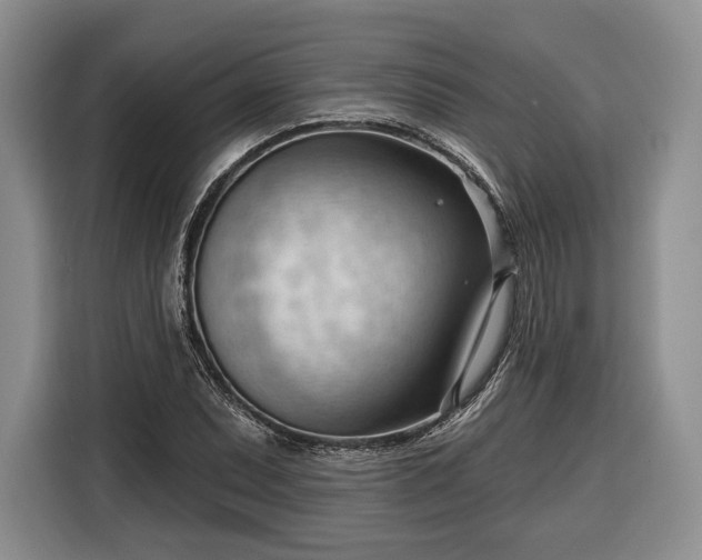 X0000116341071200912091105