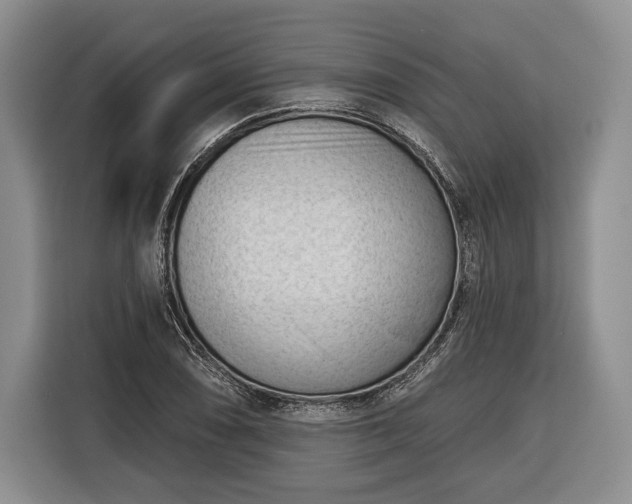 X0000116341074200912091105