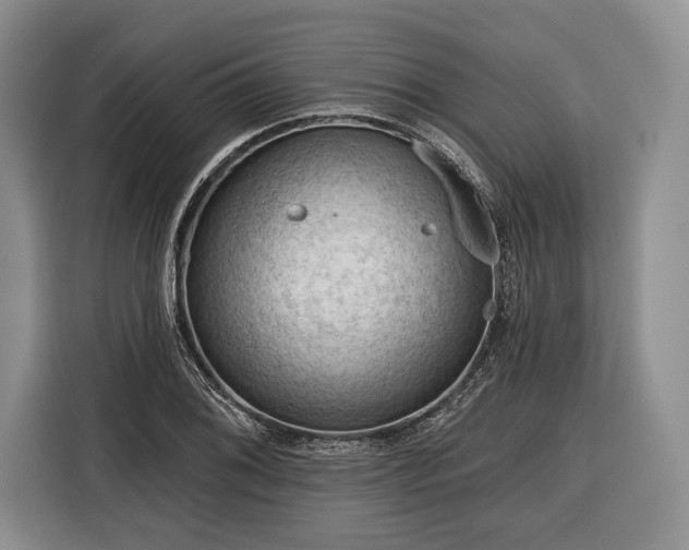 X0000116341076200912091105