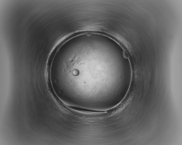 X0000116341077200912091105