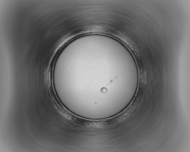 X0000116341078200912091105