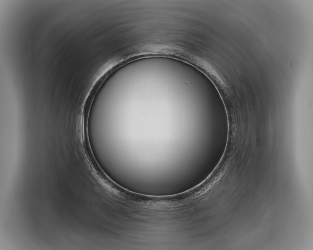 X0000116341079200912091105