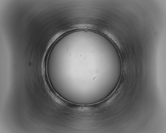 X0000116341082200912091105