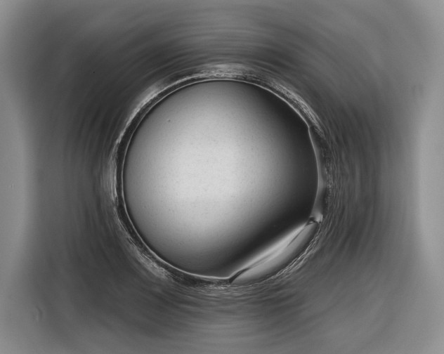 X0000116341083200912091105