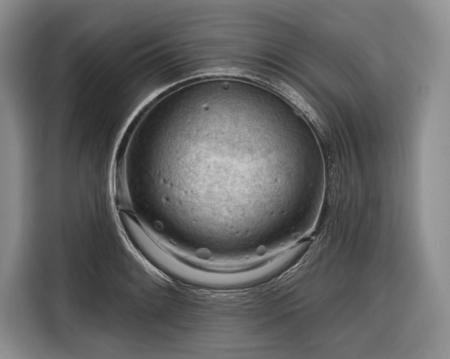 X0000116341084200912091105