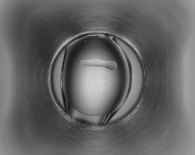 X0000116341085200912091105