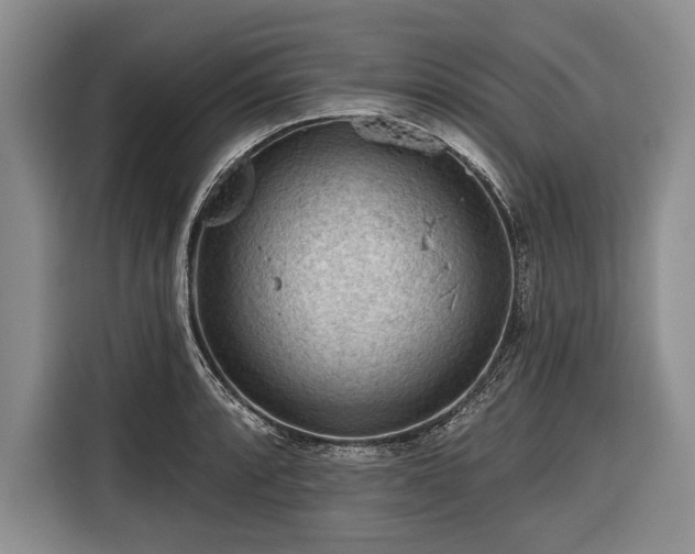 X0000116341088200912091105