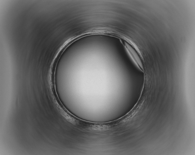 X0000116341091200912091105