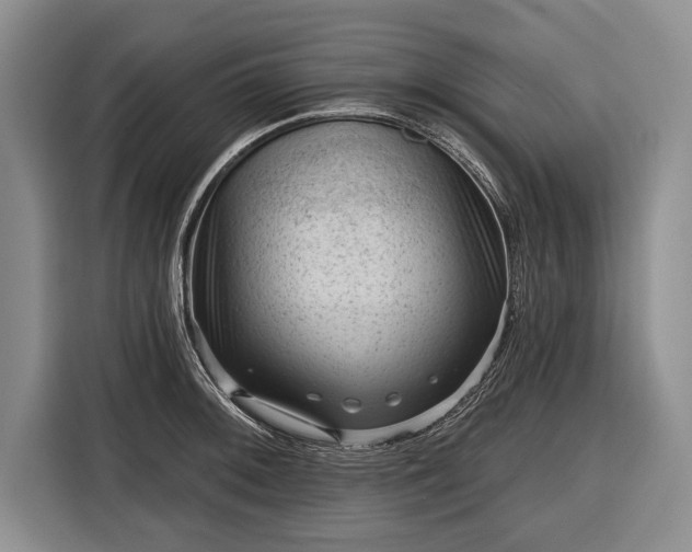 X0000116341092200912091105