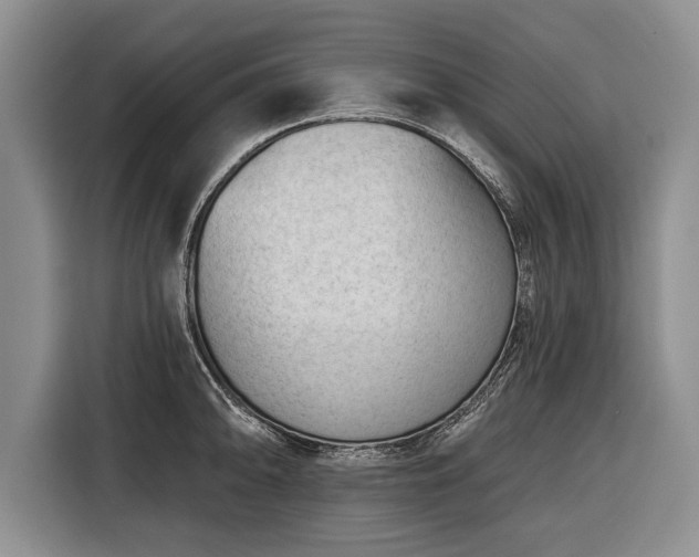 X0000116341094200912091105