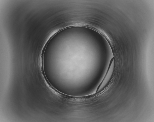 X0000116341095200912091105