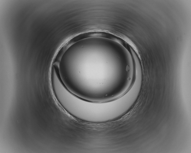 X0000116341096200912091105