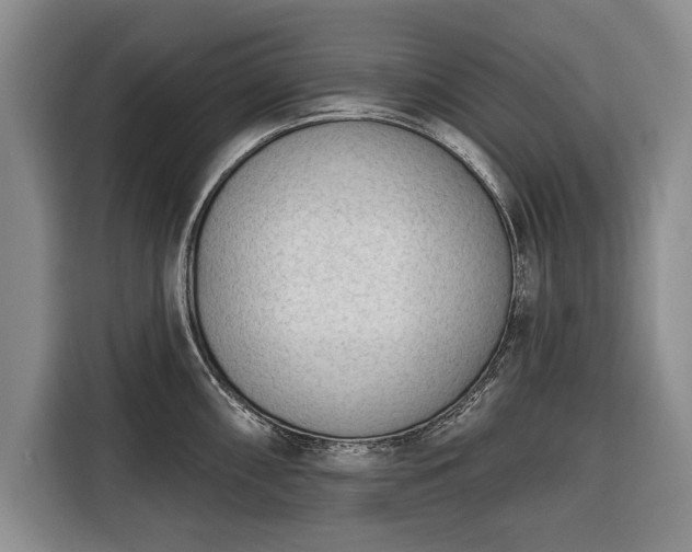 X0000116341098200912091105