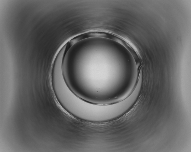 X0000116341100200912091104