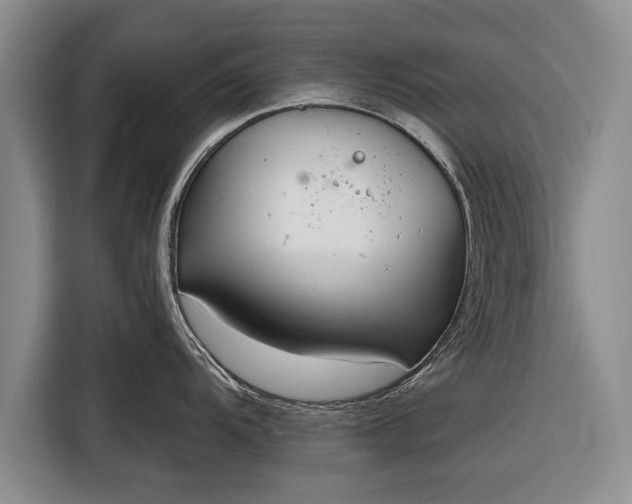 X0000116341104200912091104