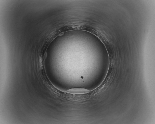 X0000116341106200912091104