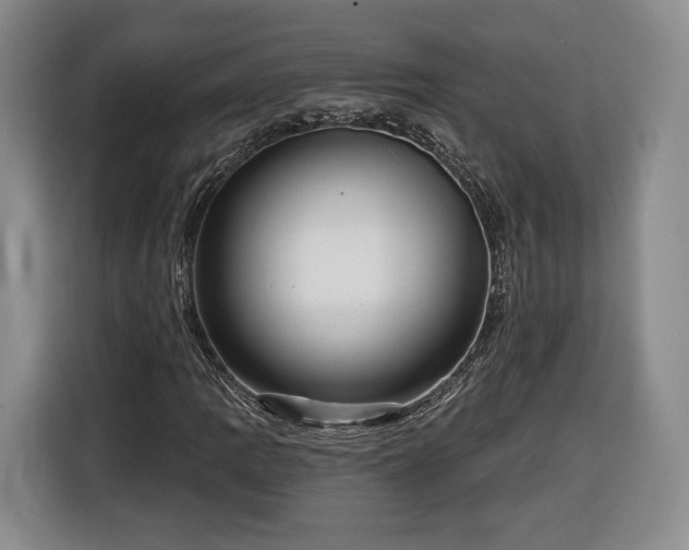 X0000116341109200912091104