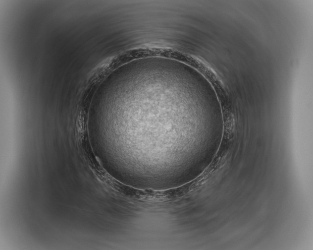 X0000116341110200912091104