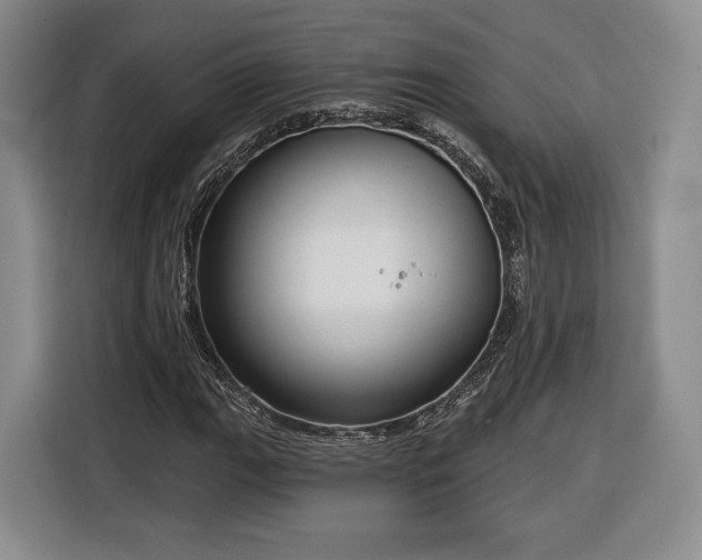 X0000116341111200912091104