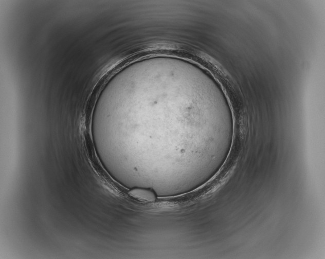 X0000116341113200912091104