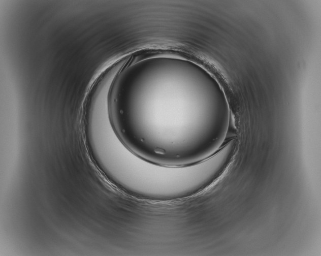 X0000116341114200912091104