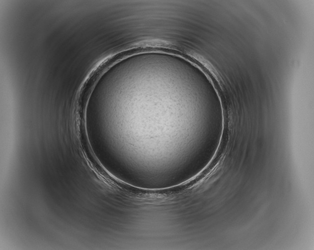 X0000116341115200912091104