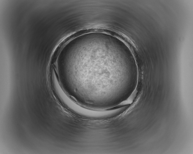 X0000116341117200912091104