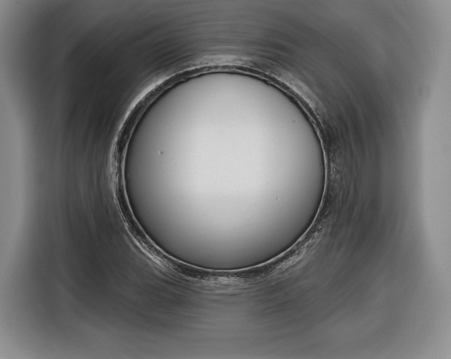 X0000116341119200912091104